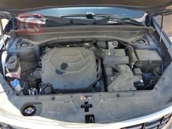 کیا تێلوراید